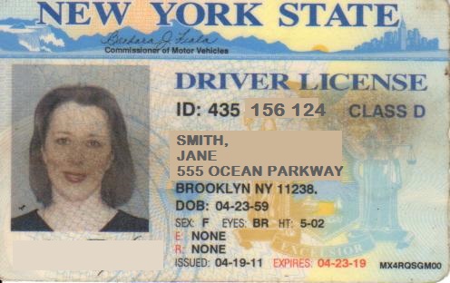 renew nys drivers license